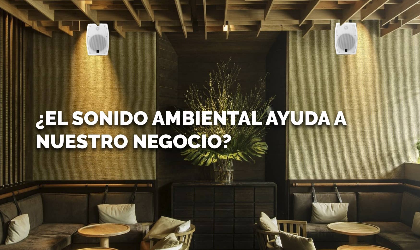 ¿El sonido ambiental ayuda a nuestro negocio?