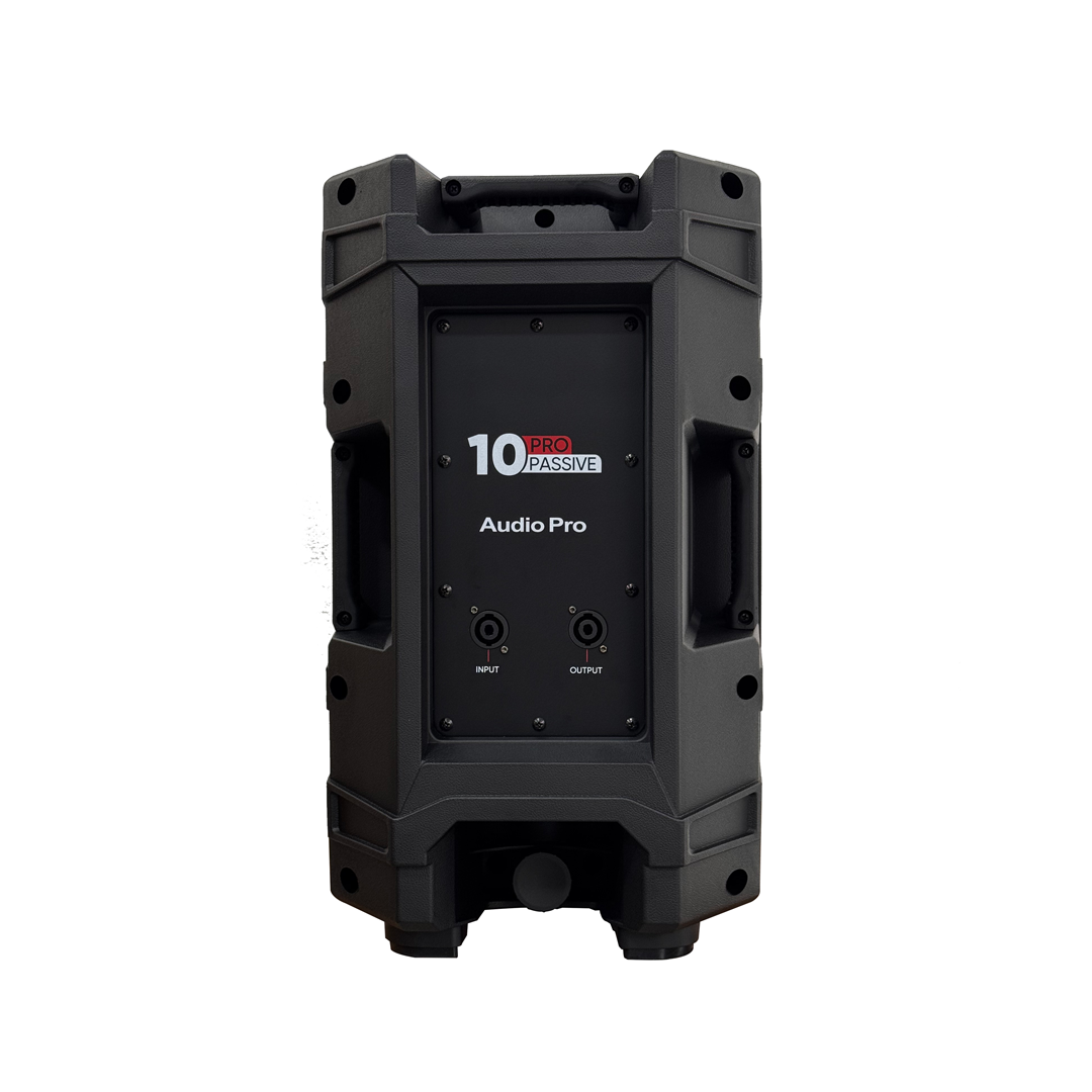Cabina Pasiva de 10 Pulgadas AudioPro 10 PRO PASSIVE