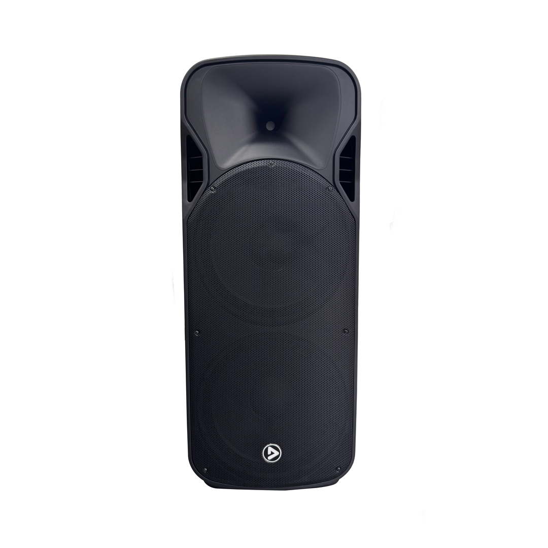 Cabina Activa doble parlante de 15 pulgadas con Bluetooth PlayPro 215 SPK BOX